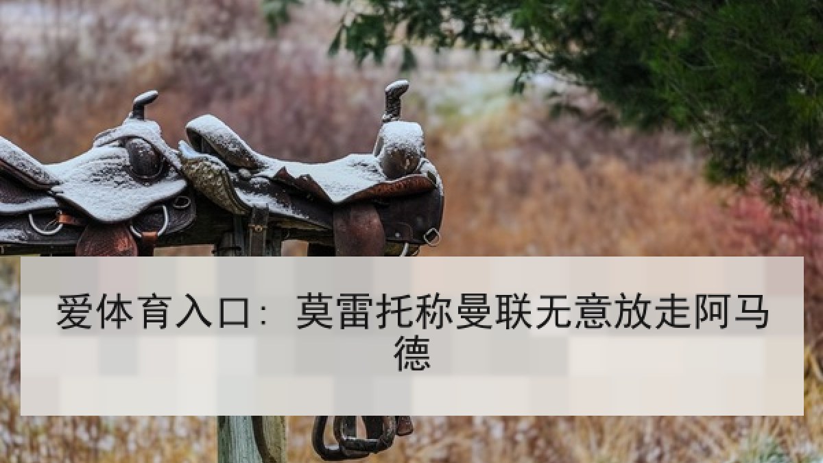 爱体育入口: 莫雷托称曼联无意放走阿马德